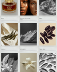 Collage of images related to a perfume brand, including a bottle, faces, and various elements.